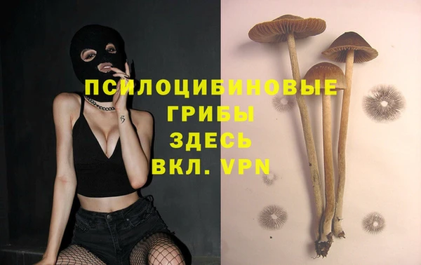 ECSTASY Волоколамск