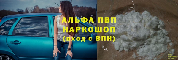 СК Володарск