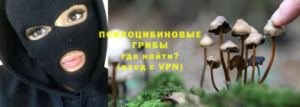 СК Володарск
