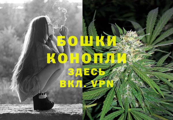 ECSTASY Волоколамск