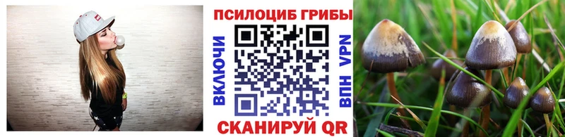 Псилоцибиновые грибы прущие грибы  Купить закладки  Наволоки 